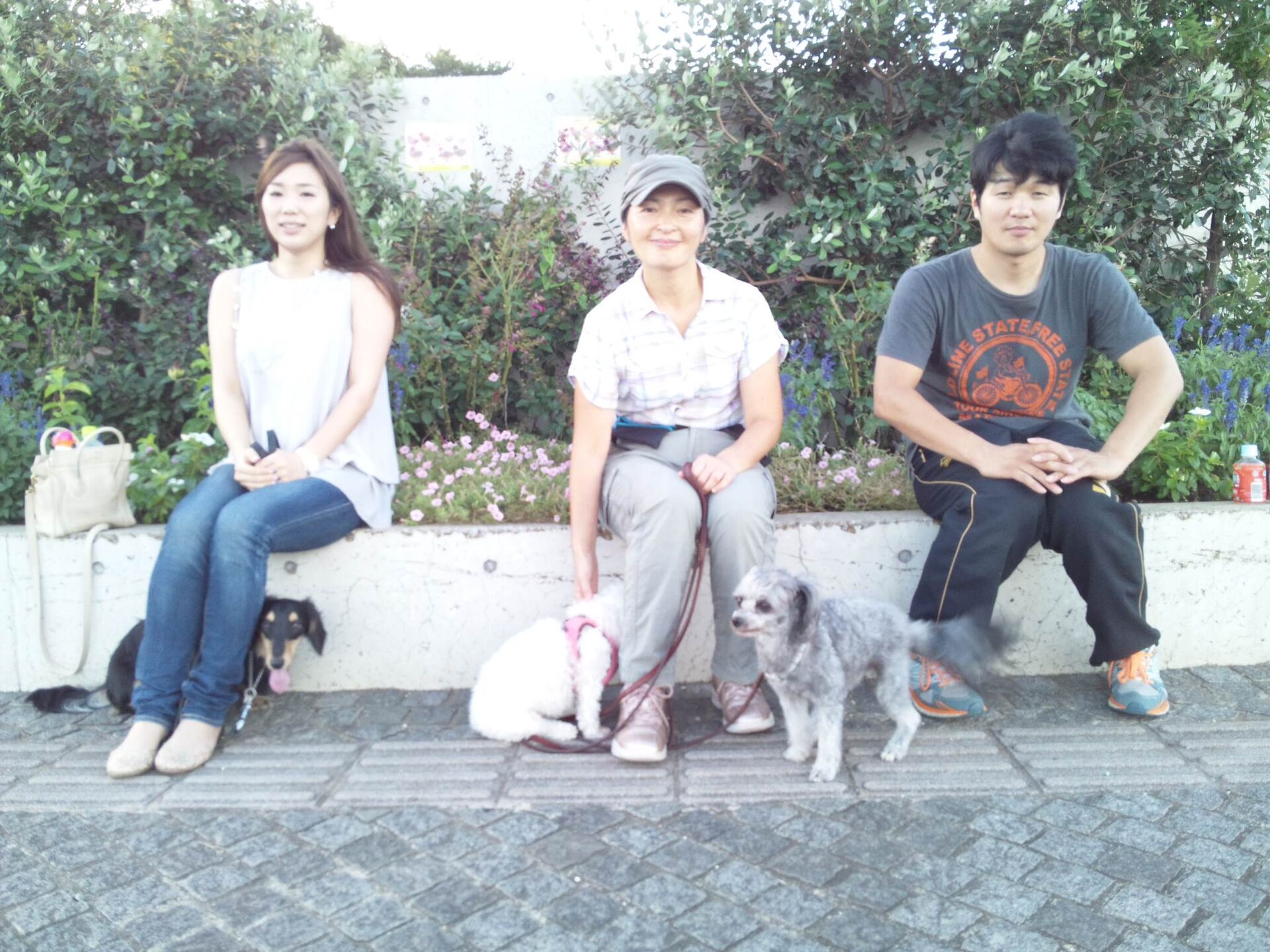 横浜市の犬のしつけレッスン/ただ今お散歩レッスン中！