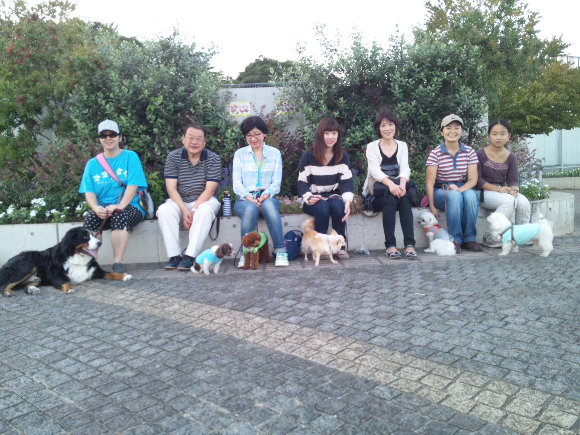 横浜市の犬のしつけレッスン/ただ今お散歩レッスン中！