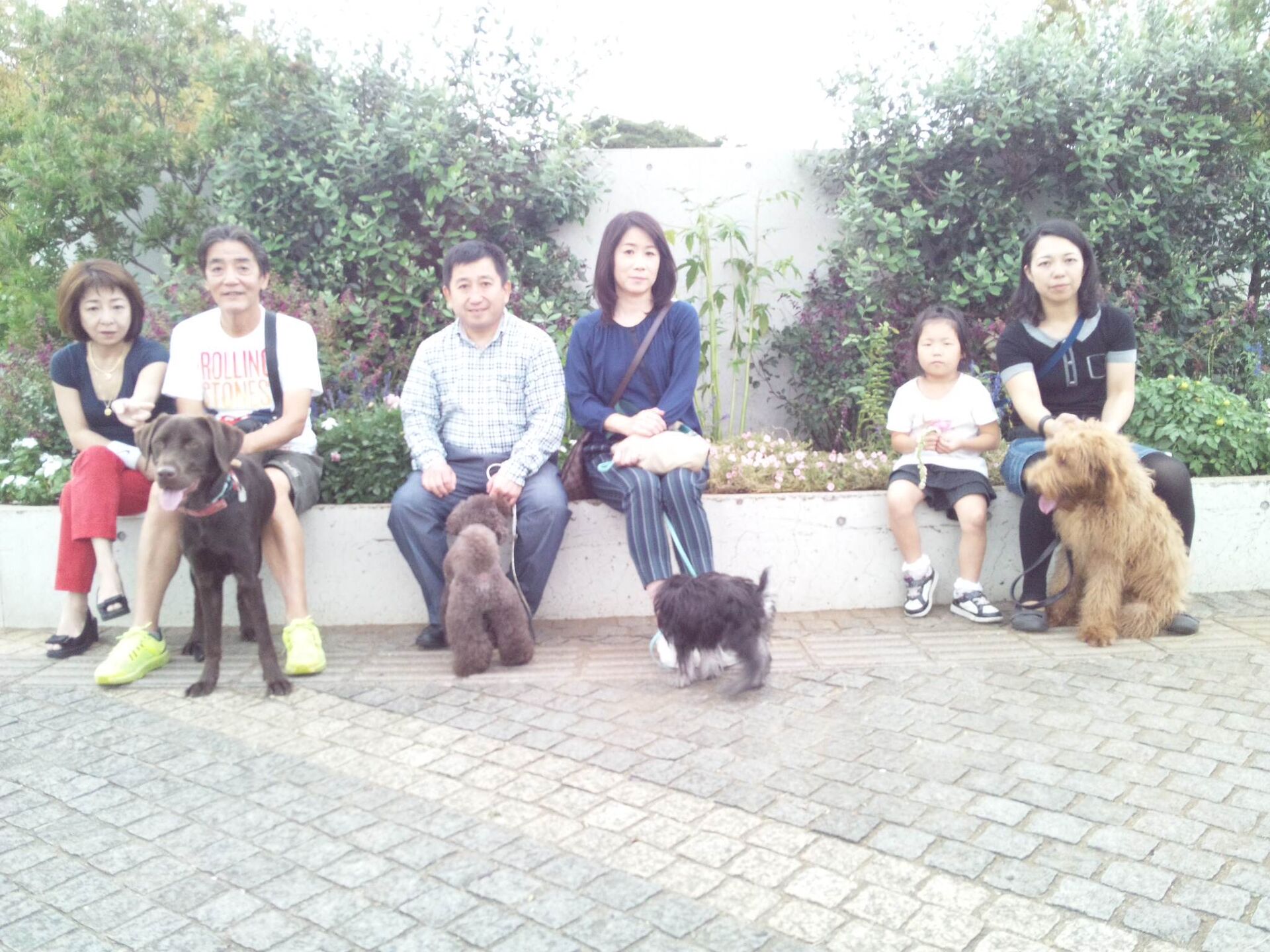 横浜市の犬のしつけレッスン/ただ今お散歩レッスン中！