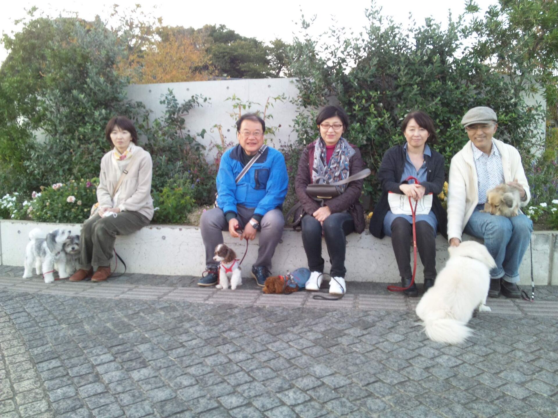 横浜市の犬のしつけレッスン/ただ今、お散歩レッスン中！
