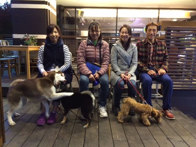 横浜市の犬のしつけレッスン/ただ今、お散歩レッスン中！