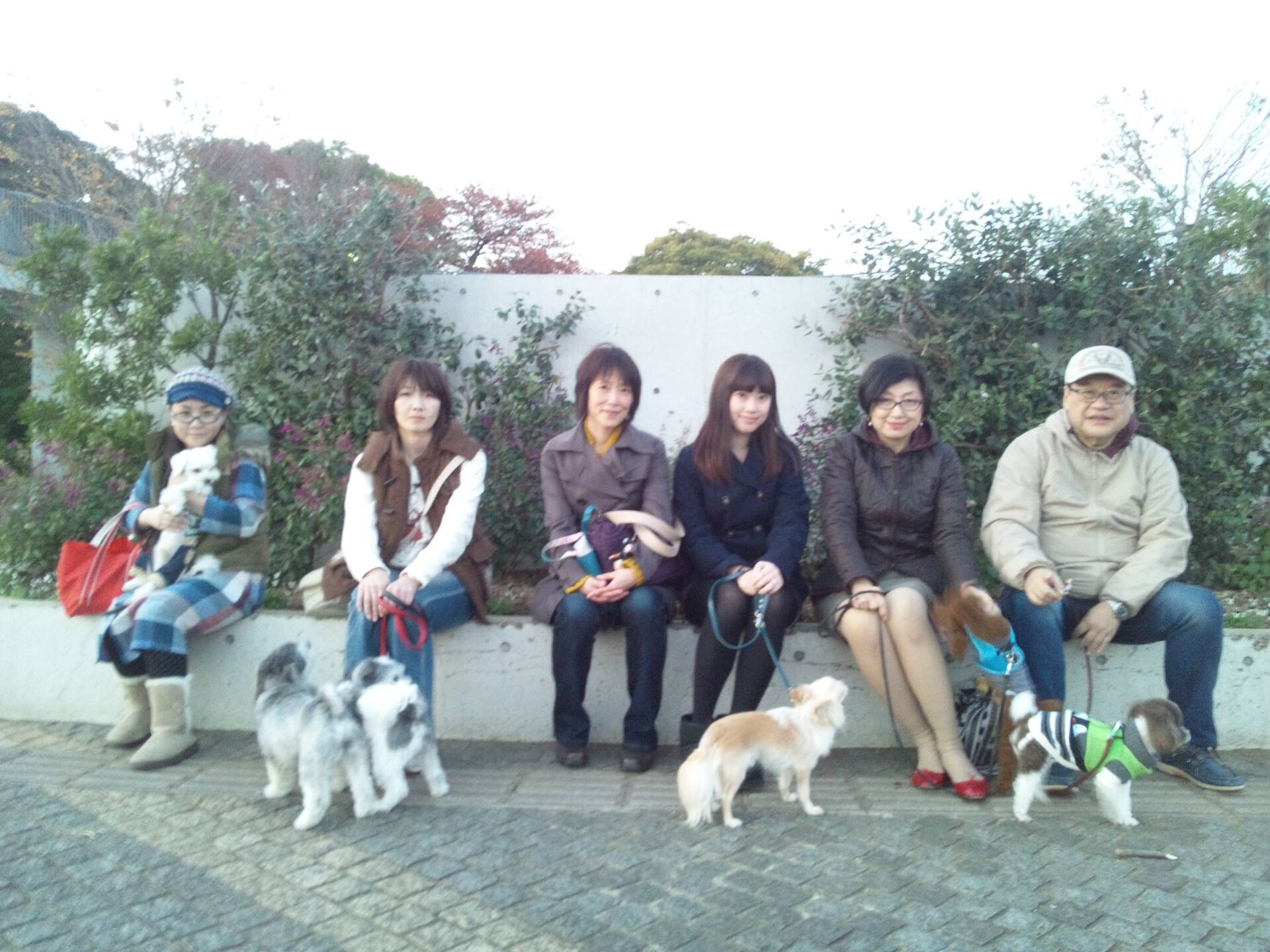横浜市の犬のしつけレッスン/ただ今、お散歩レッスン中！