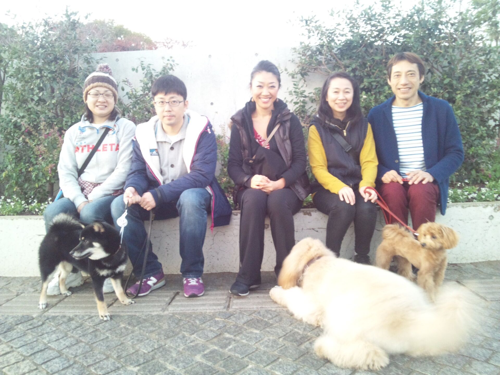 横浜市の犬のしつけレッスン/ただ今、お散歩レッスン中！