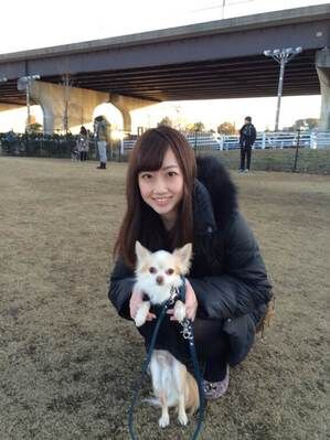 横浜市の犬のしつけレッスン/お客様の声 ブログ編