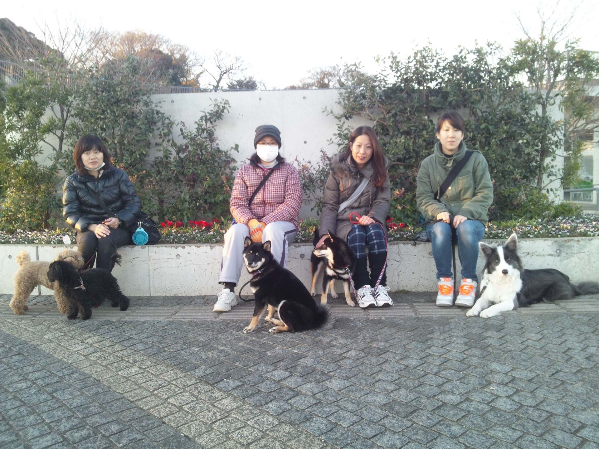 横浜市の犬のしつけレッスン/ただ今お散歩レッスン中！
