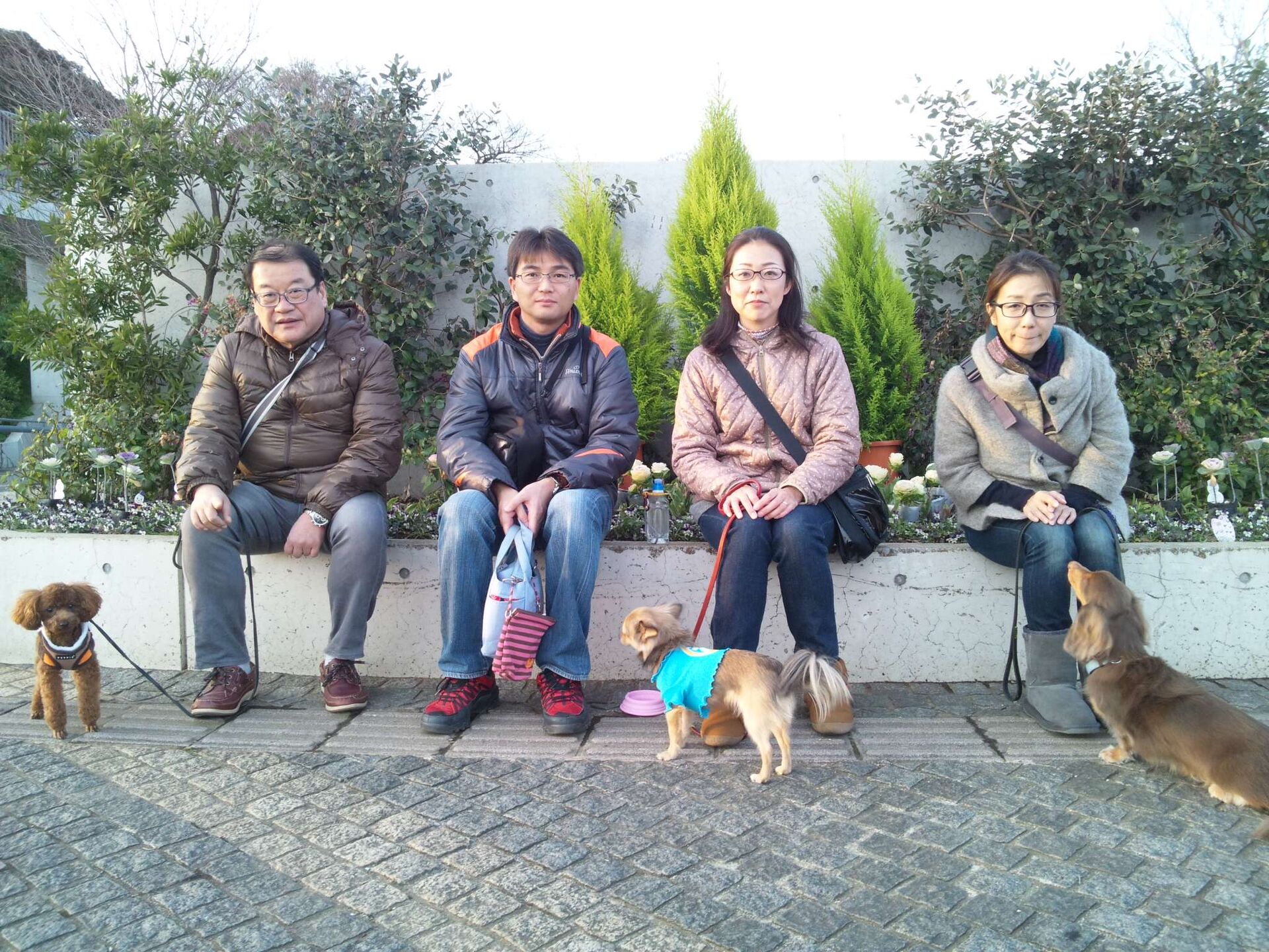 横浜市の犬のしつけレッスン/お散歩レッスン中！