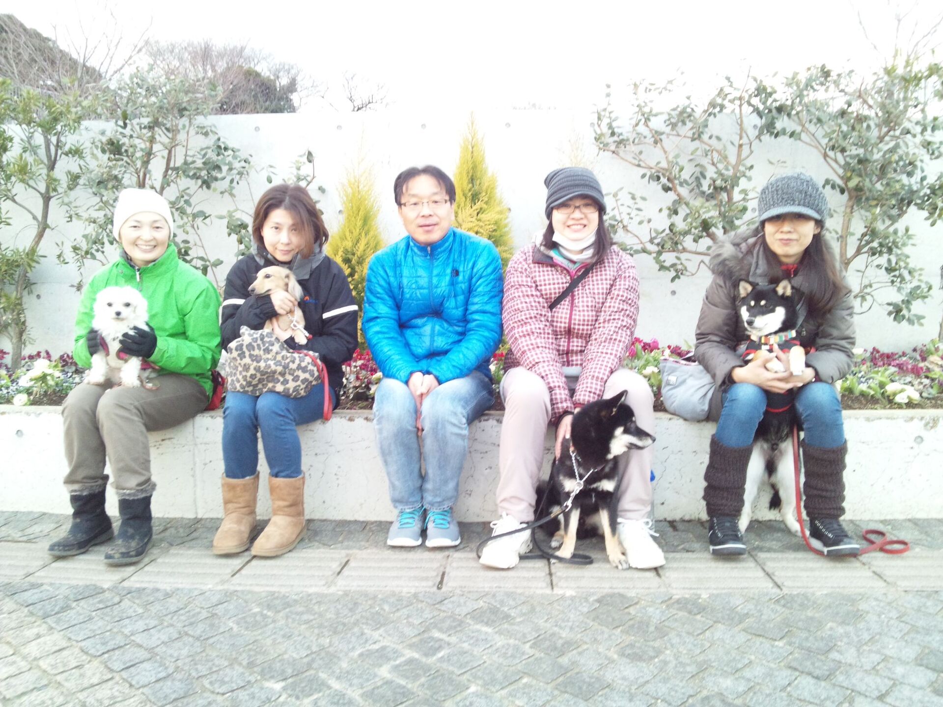 横浜市の犬のしつけレッスン/ただ今お散歩レッスン中！