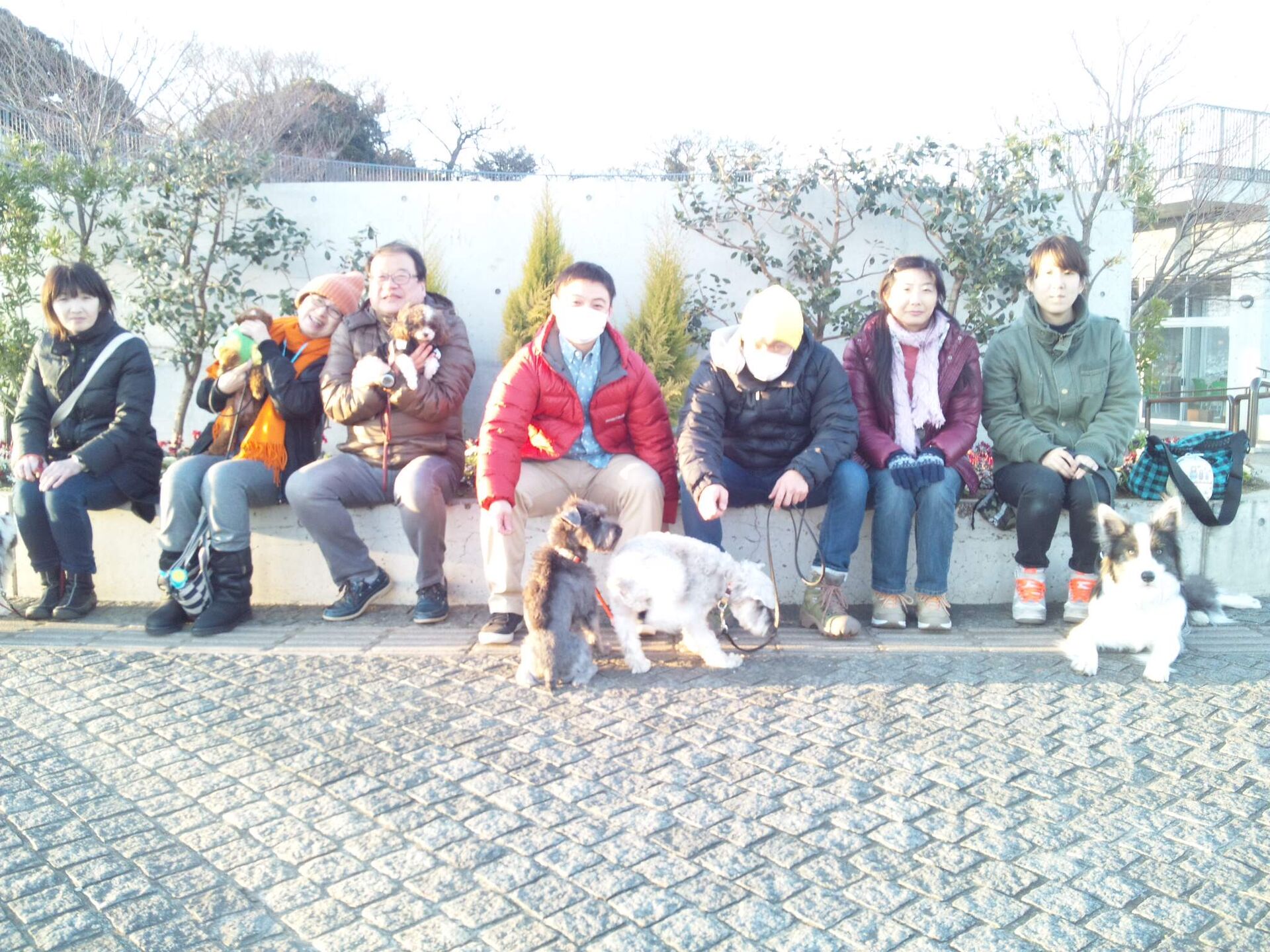 横浜市の犬のしつけレッスン/ただ今お散歩レッスン中！