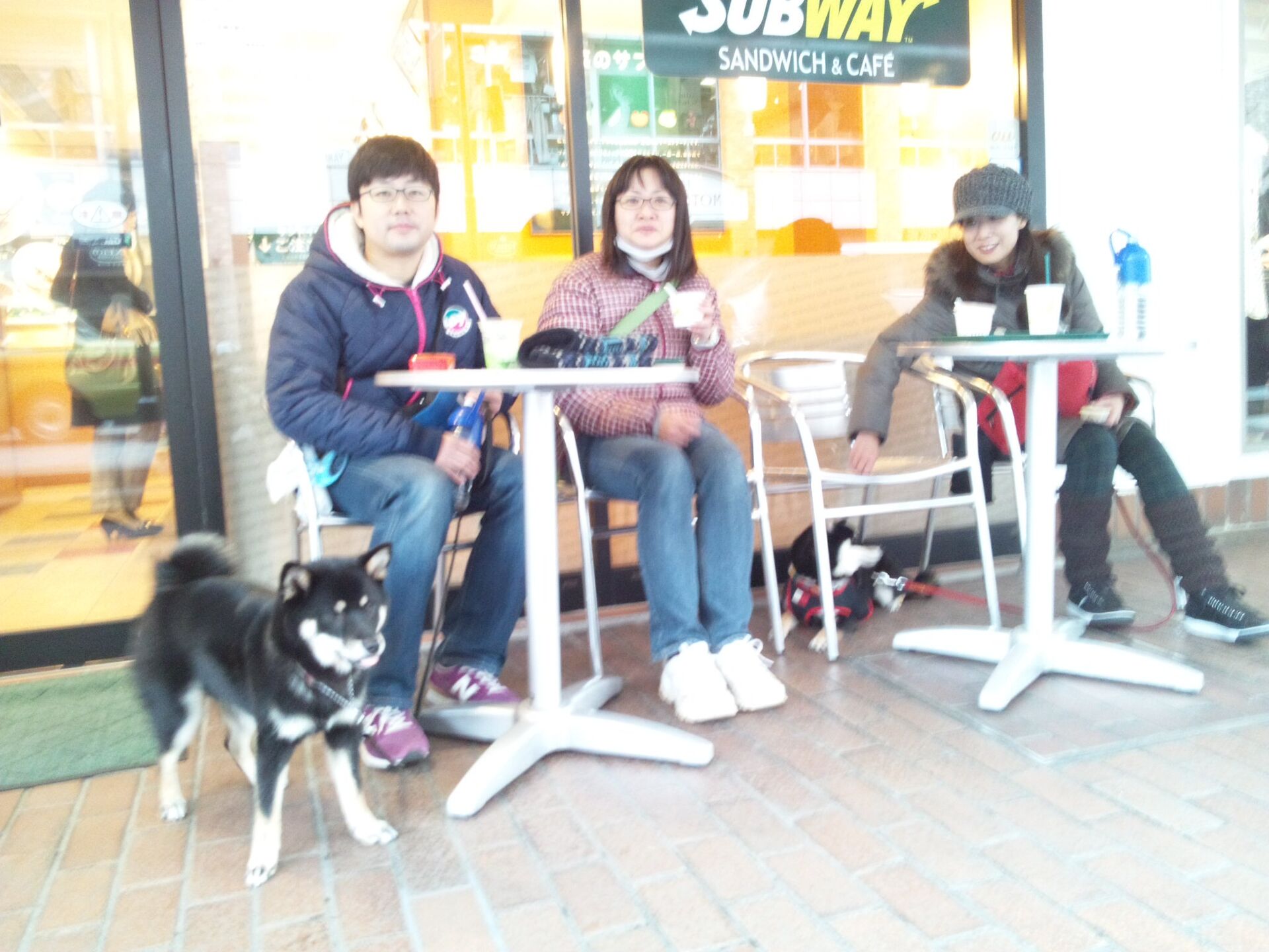 横浜市の犬のしつけレッスン/ただ今お散歩レッスン中！