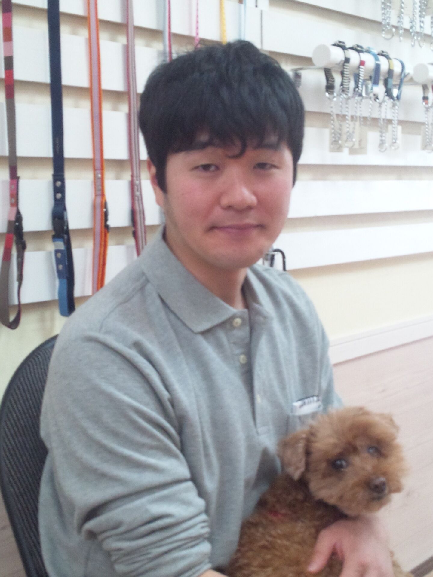 家庭犬しつけ教師養成講座 卒業生の声