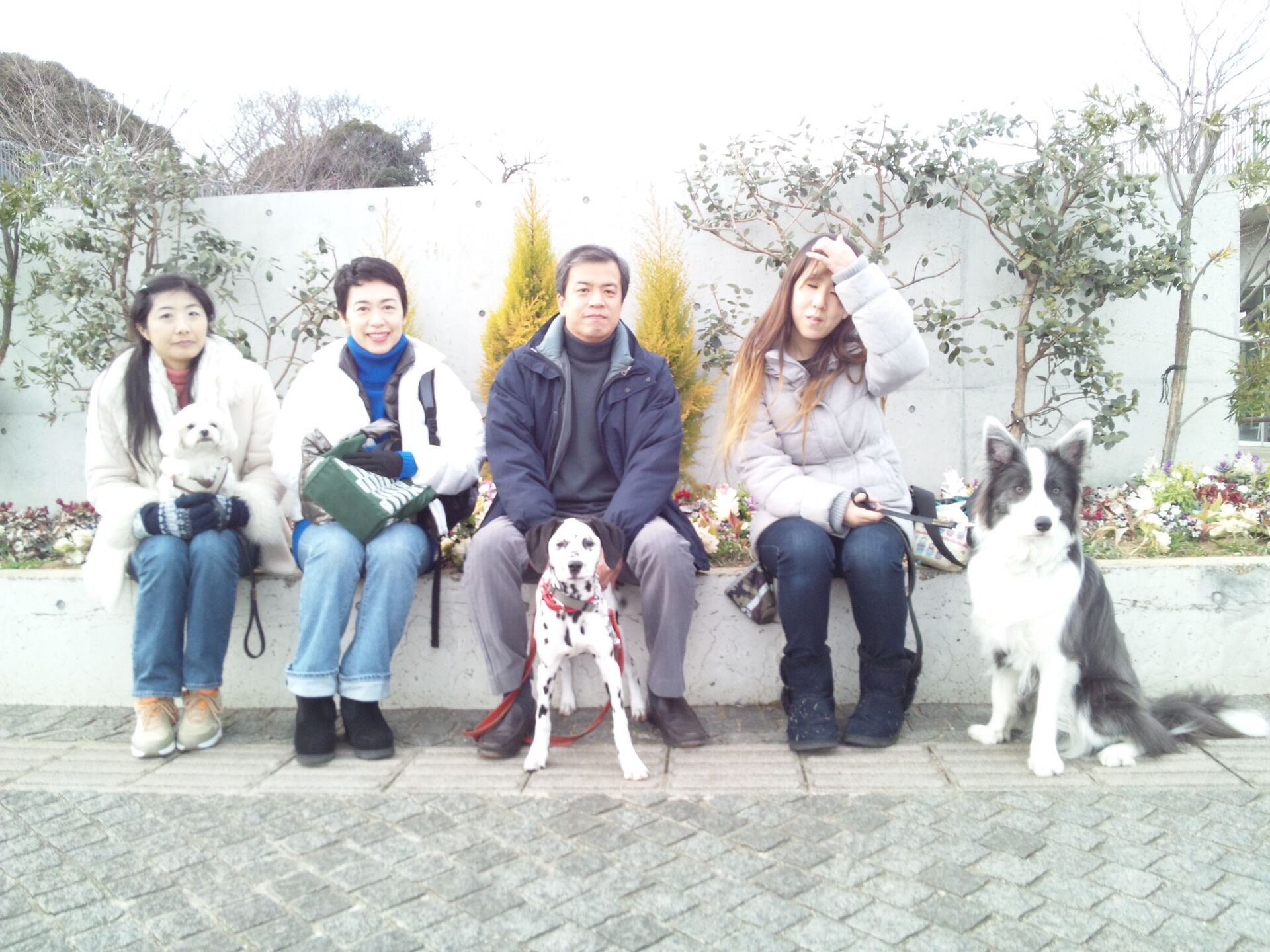 横浜市の犬のしつけレッスン/ただ今、お散歩レッスン中！
