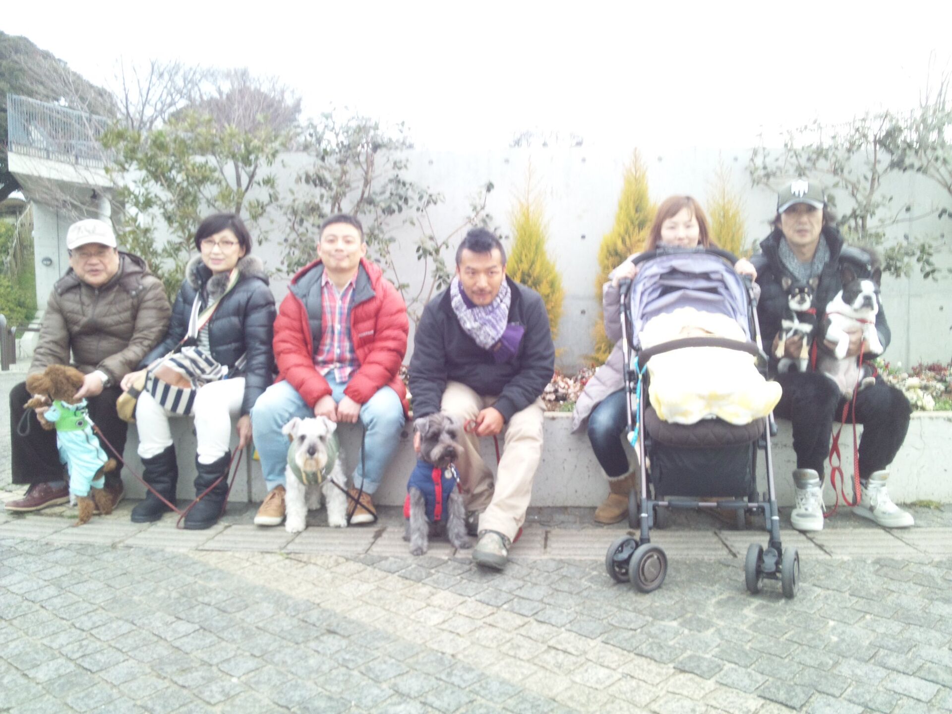 横浜市の犬のしつけレッスン/ただ今、お散歩レッスン中！