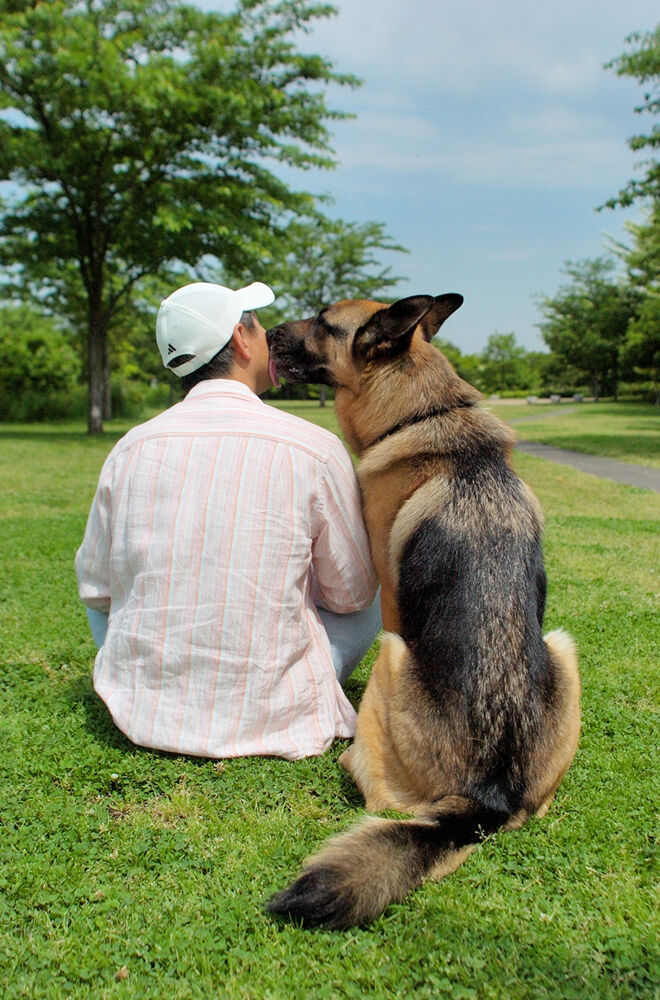 横浜市の犬のしつけレッスン/吠えないしつけ
