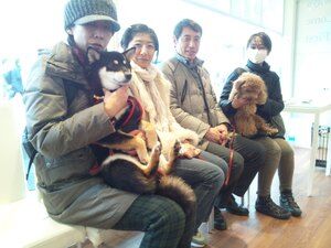 横浜市の犬のしつけレッスン/ただ今お散歩レッスン中！