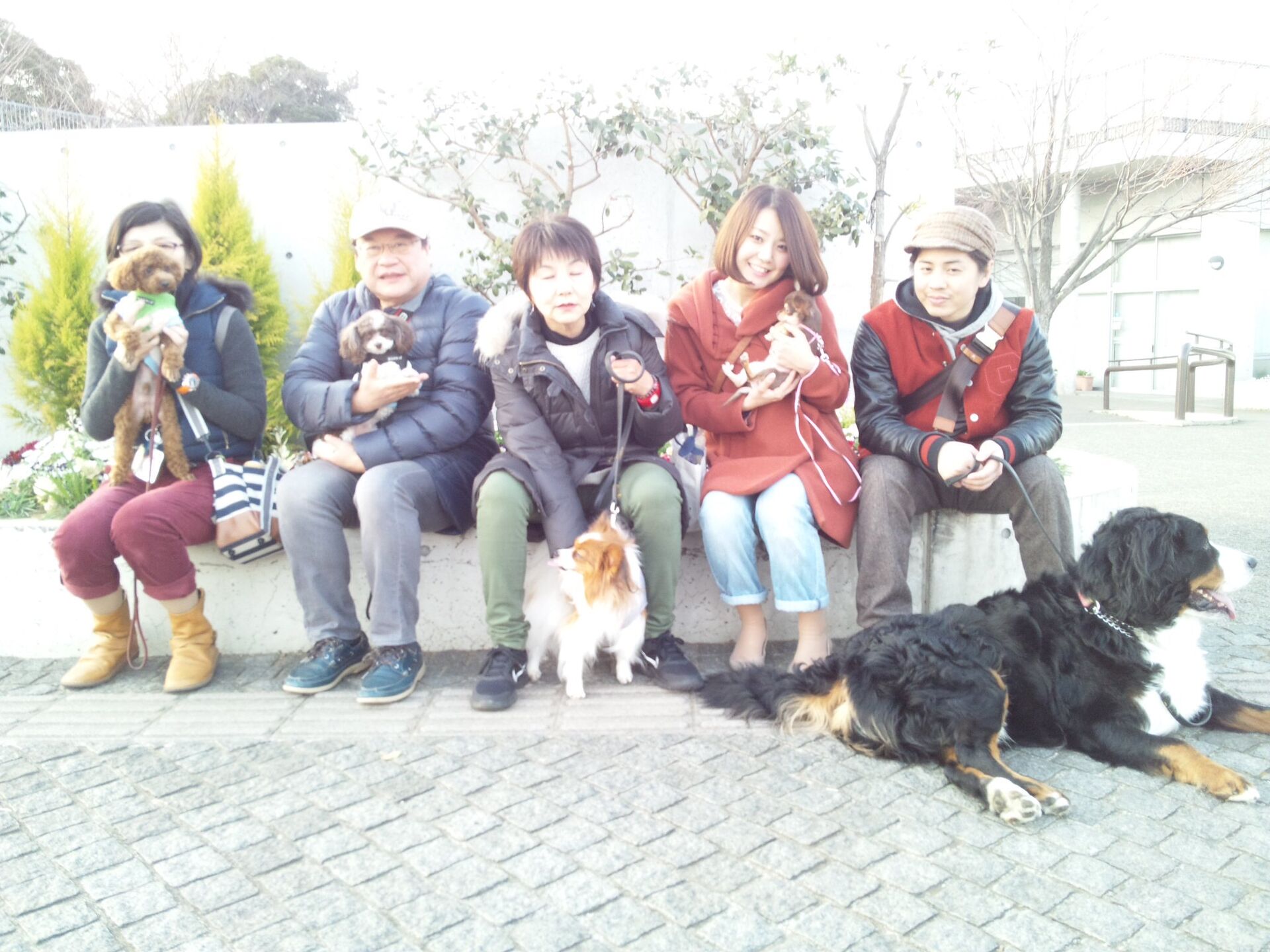 横浜市の犬のしつけレッスン/お散歩 レッスン中！