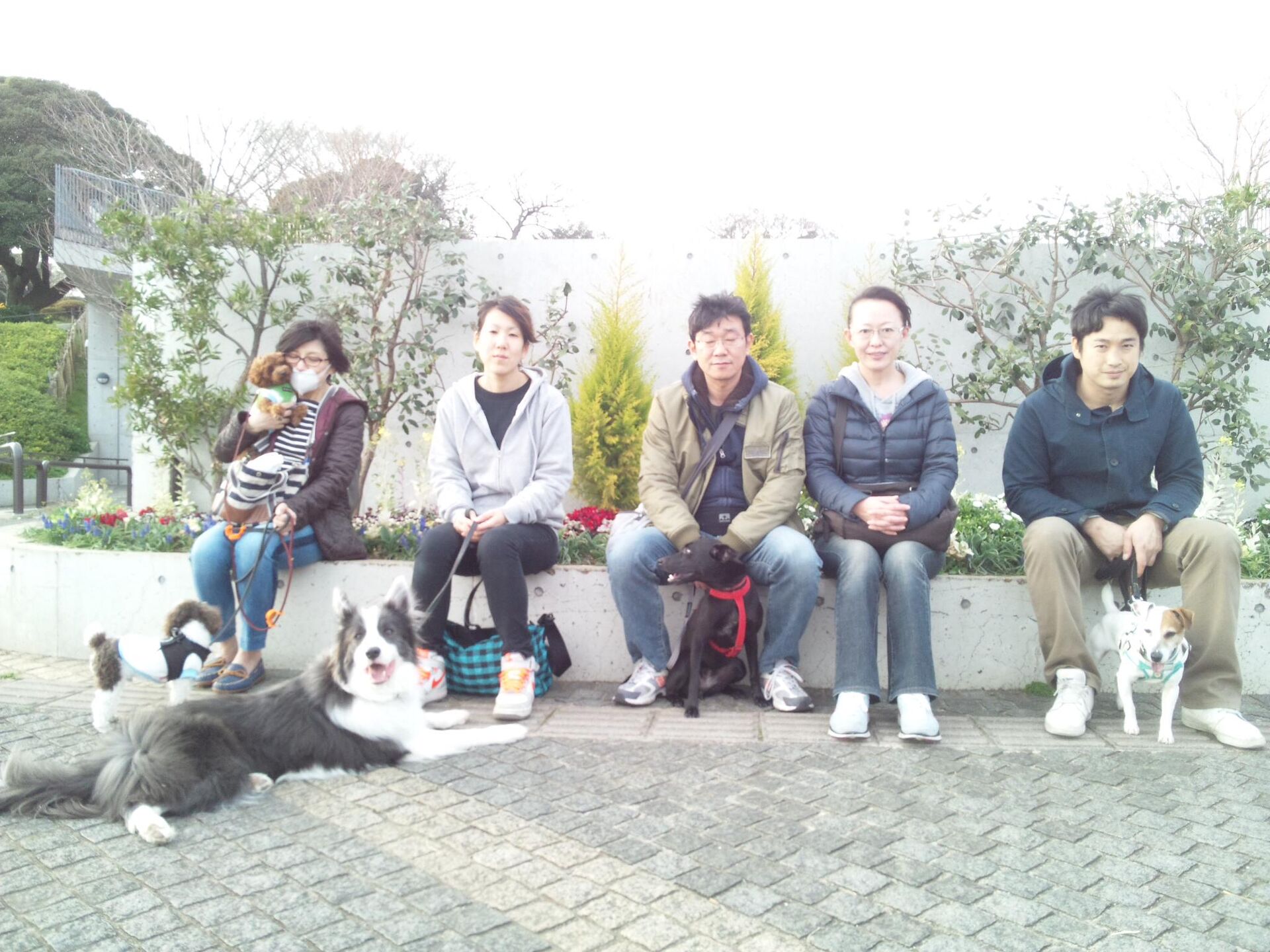横浜市の犬のしつけレッスン/お散歩レッスン中！