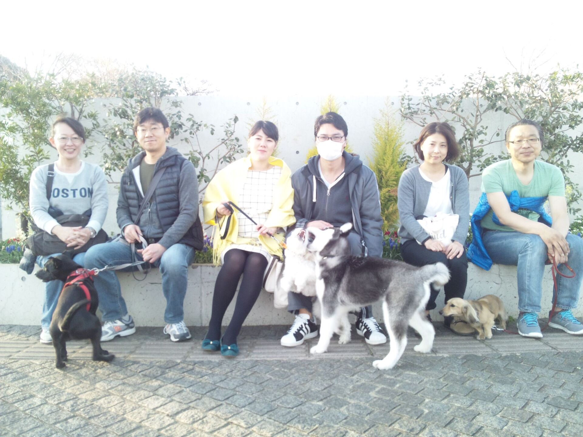横浜市の犬のしつけレッスン/お散歩レッスン中！