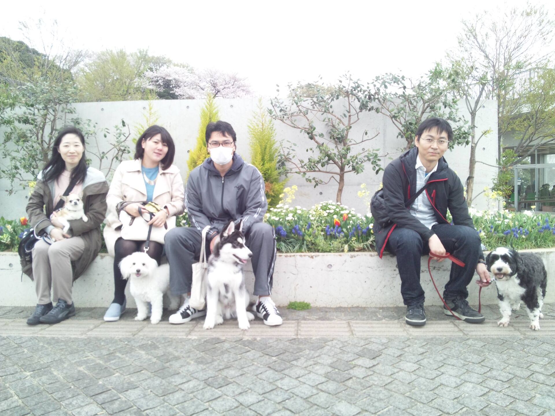 横浜市の犬のしつけレッスン/お散歩レッスン中！