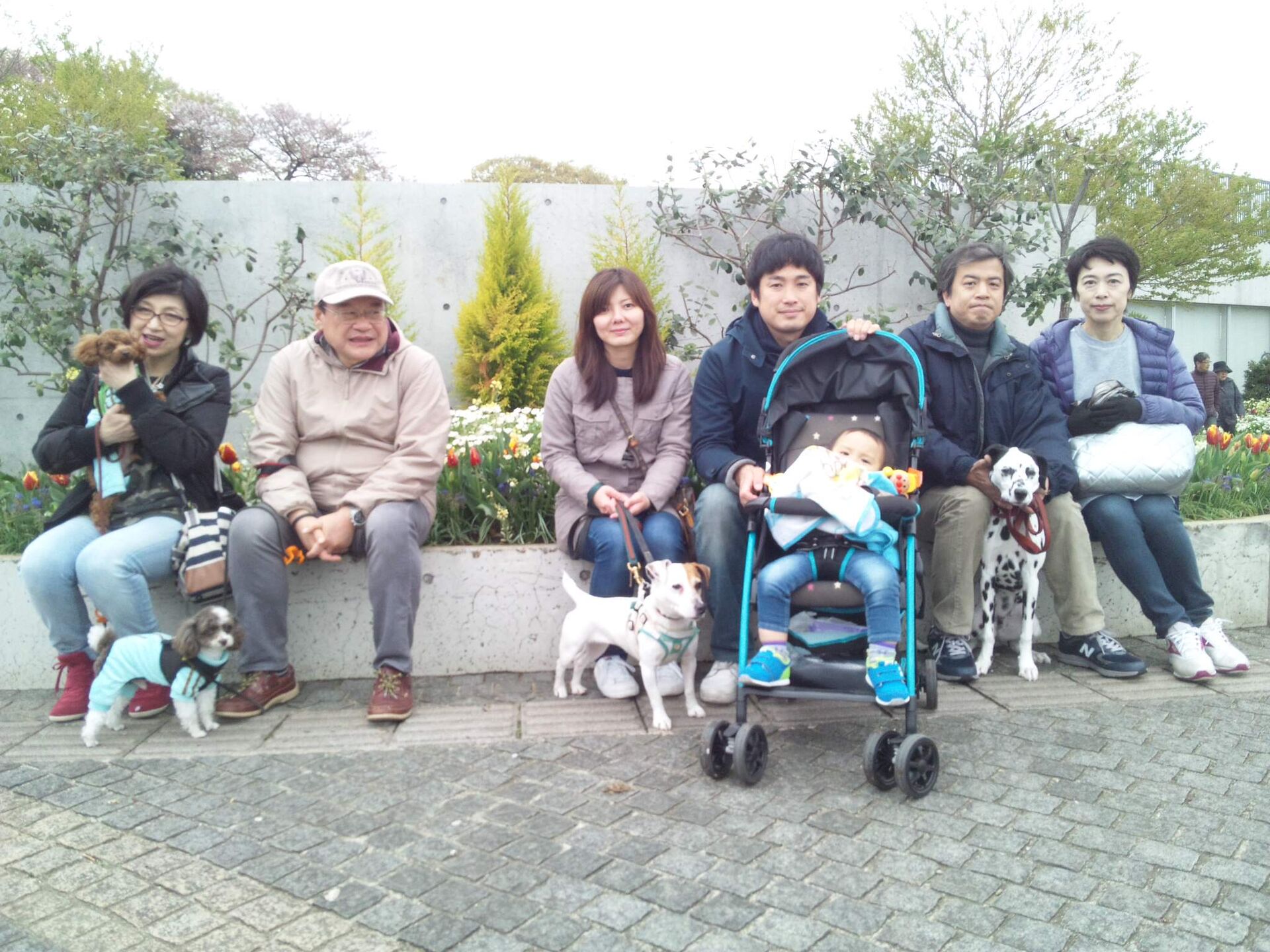 横浜市の犬のしつけレッスン/お散歩レッスン中！