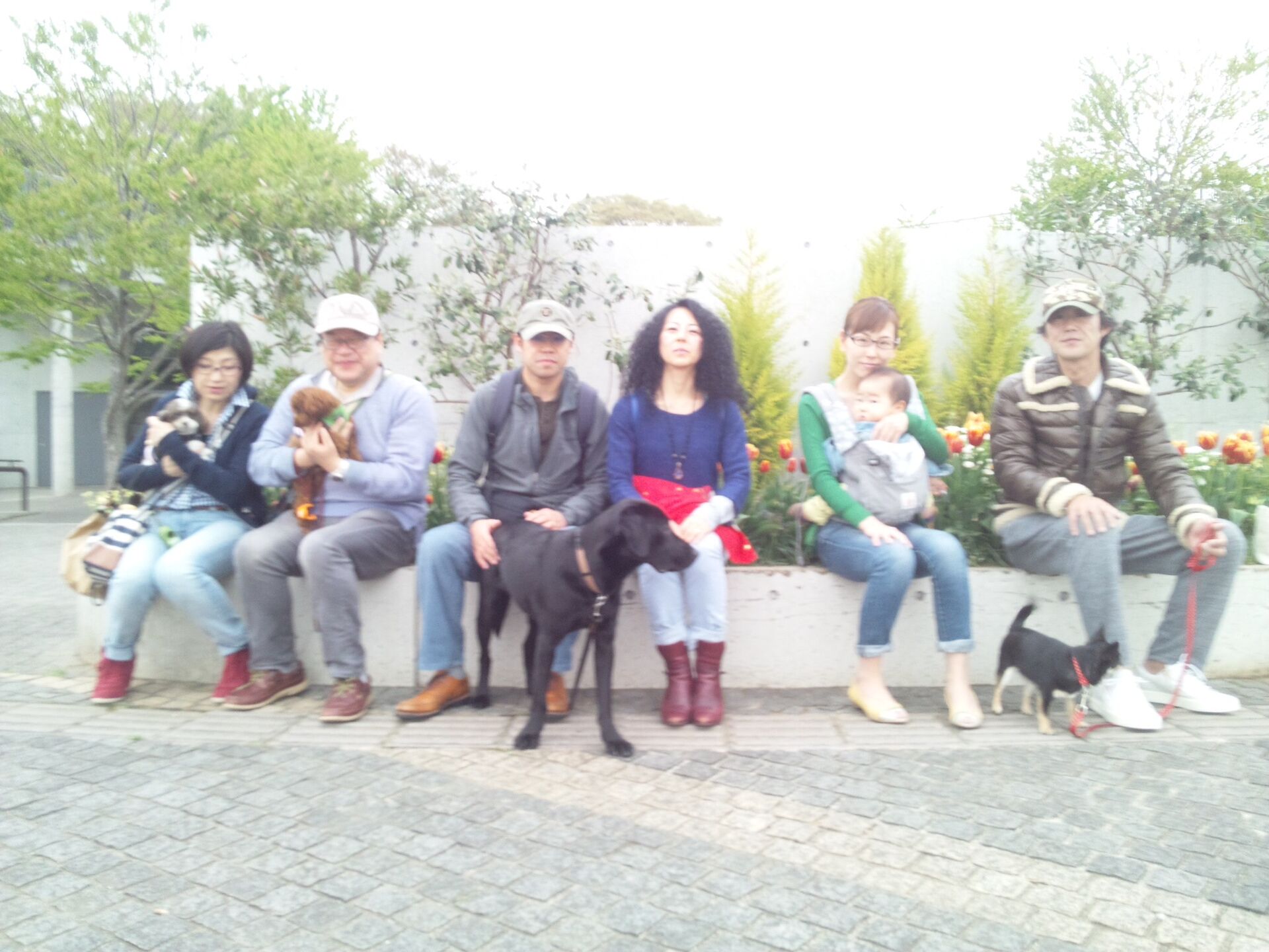 横浜市の犬のしつけレッスン/お散歩レッスン中！