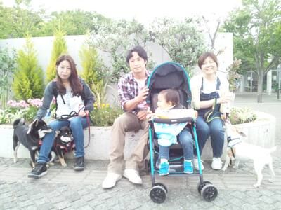 横浜市の犬のしつけレッスン/お散歩レッスン中！