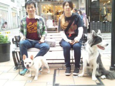 横浜市の犬のしつけレッスン/今日は元町散歩