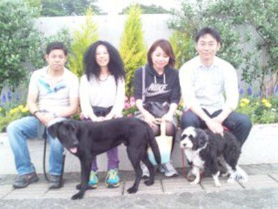 横浜市の犬のしつけレッスン/お散歩レッスン中！