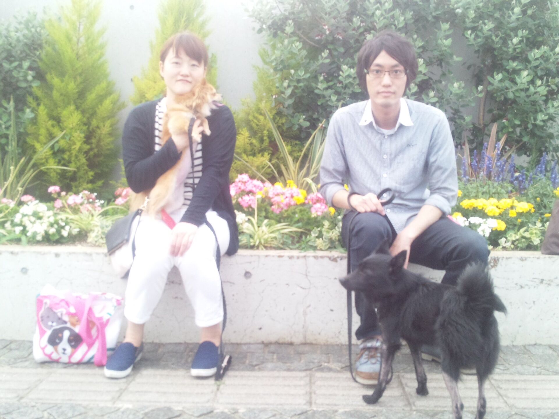 横浜市の犬のしつけレッスン/新入生紹介！