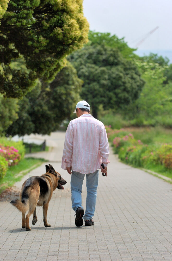 横浜市の犬のしつけレッスン/お散歩の意味～あなたの犬は幸せですか？～