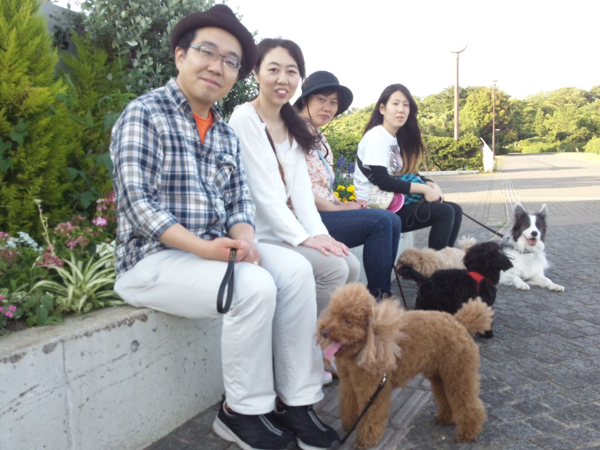 横浜市の犬のしつけレッスン/お散歩レッスン中！