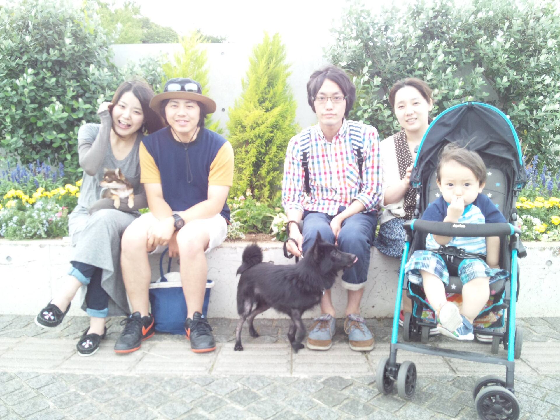 横浜市の犬のしつけレッスン/お散歩レッスン中！