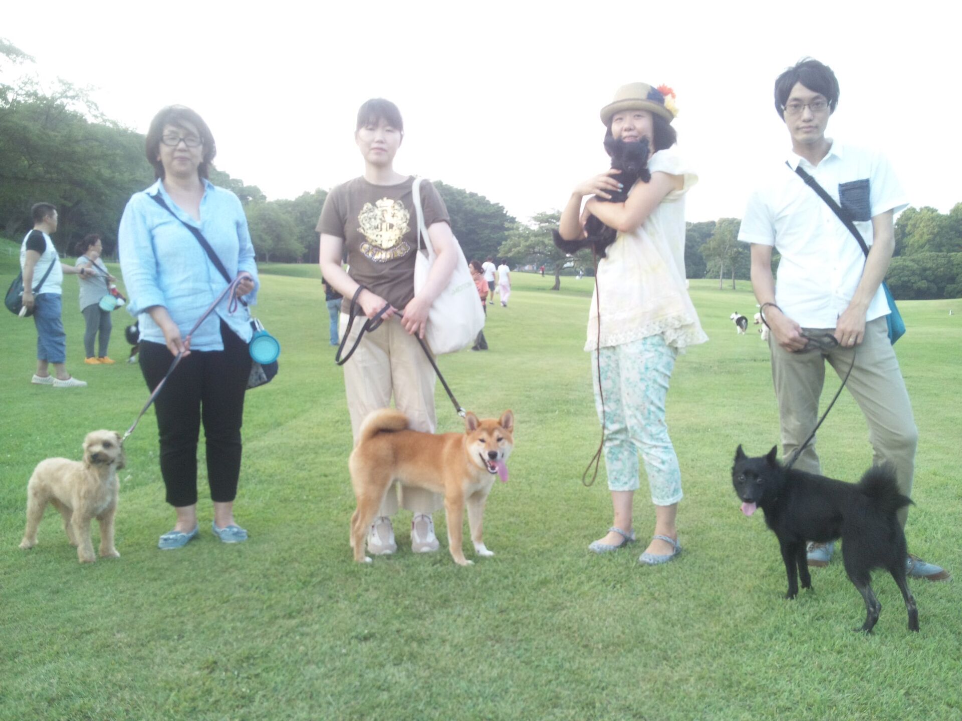 横浜市の犬のしつけレッスン/お散歩レッスン