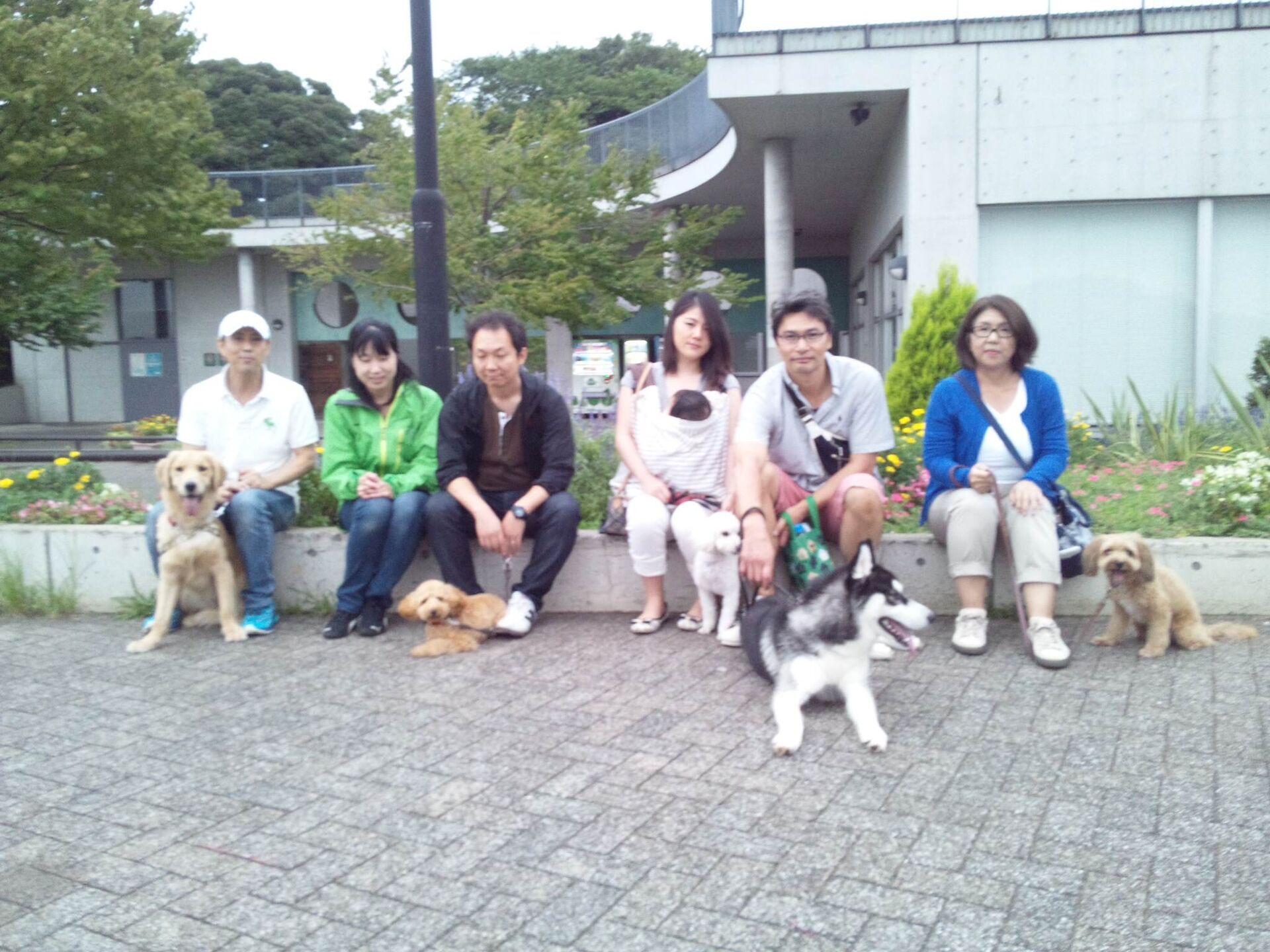 横浜市の犬のしつけレッスン/今日のわん子達