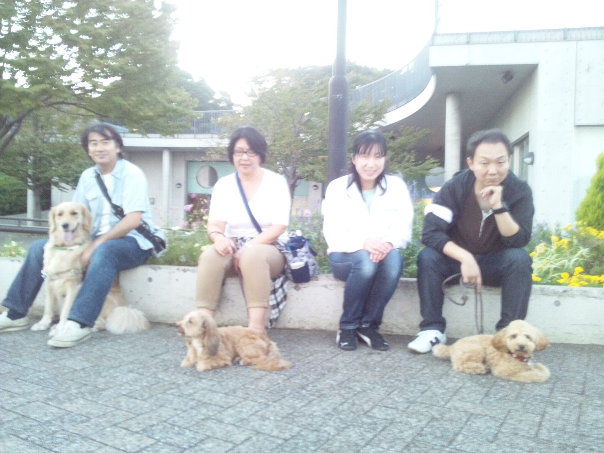 横浜市の犬のしつけレッスン/今日のわん子達
