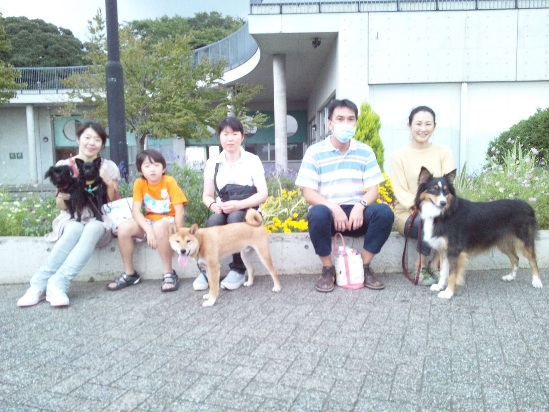 横浜市の犬のしつけレッスン/今日のわん子達