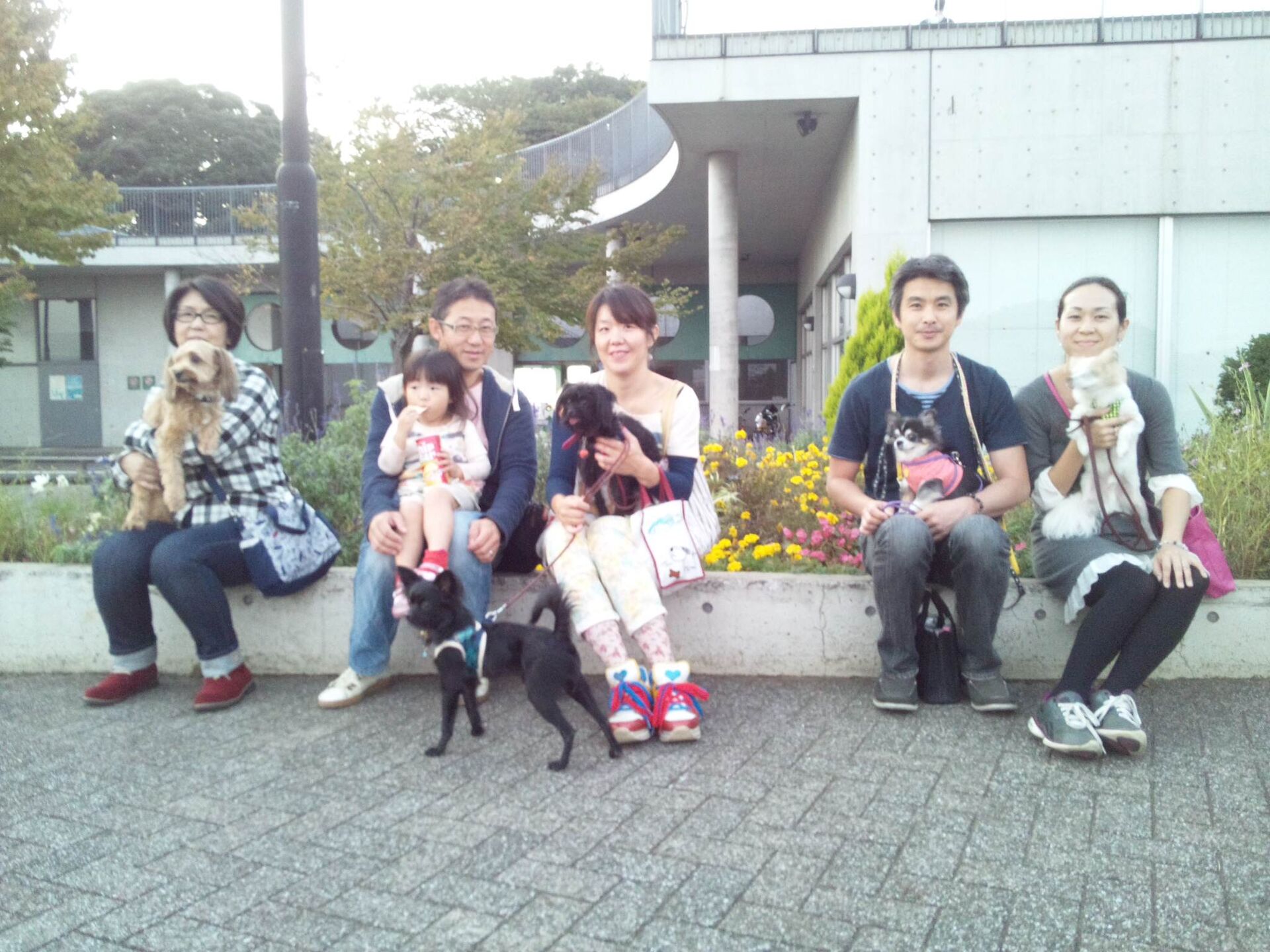 横浜市の犬のしつけレッスン/今日のわん子達