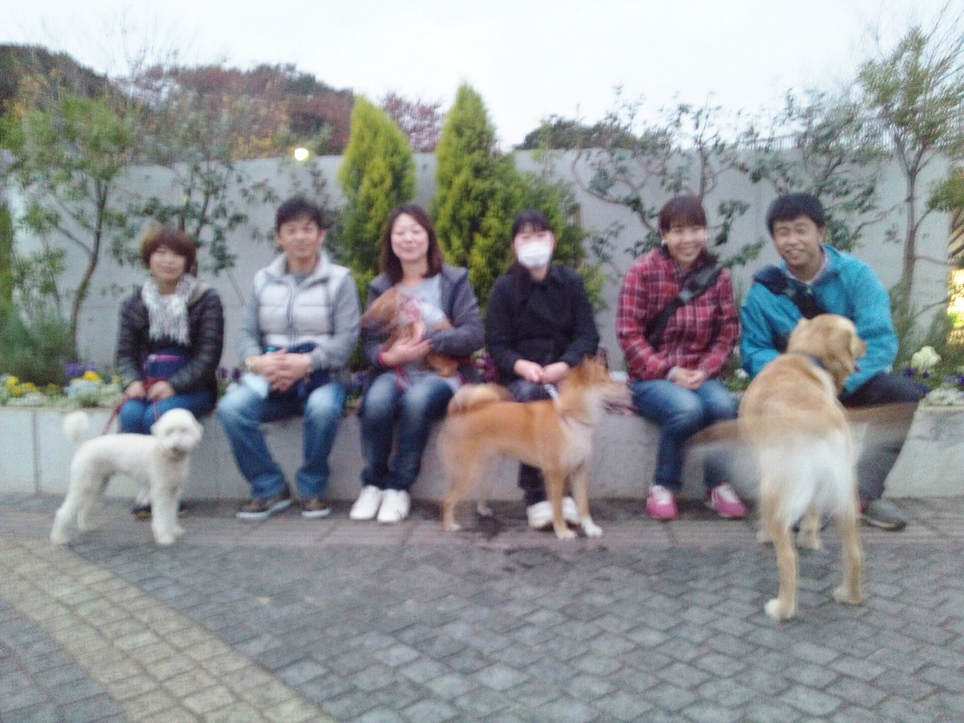 横浜市の犬のしつけレッスン/今日のわん子達