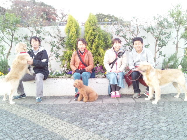 横浜市の犬のしつけレッスン/今日のわん子達