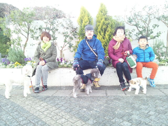 横浜市の犬のしつけレッスン/今日のわん子達