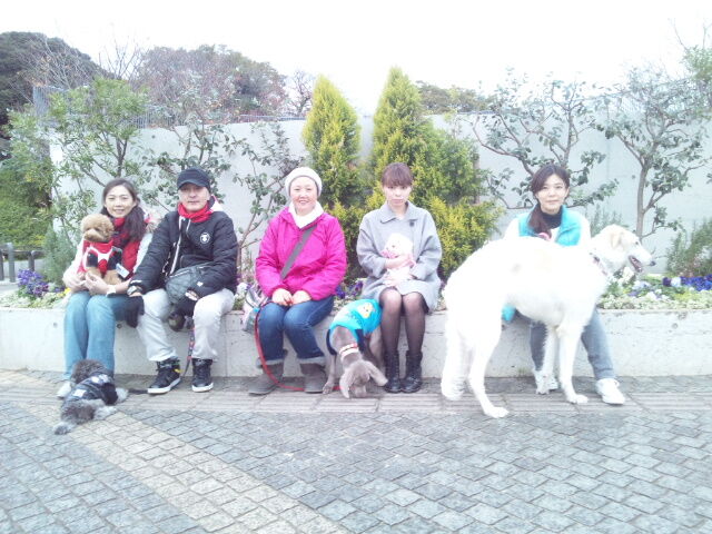 横浜市の犬のしつけレッスン/今日のわん子達