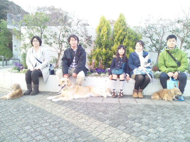 横浜市の犬のしつけレッスン/今日のわん子達