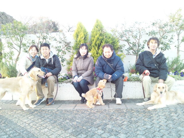 横浜市の犬のしつけレッスン/今日のわん子達