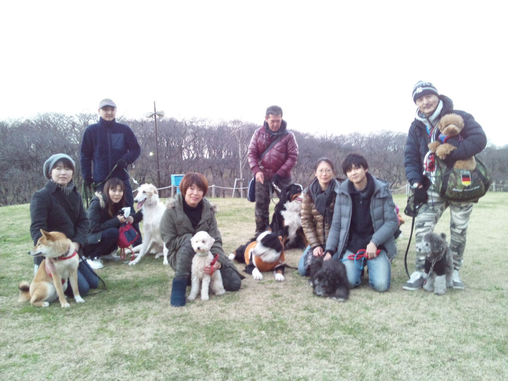 横浜市の犬のしつけレッスン/今日のわん子達