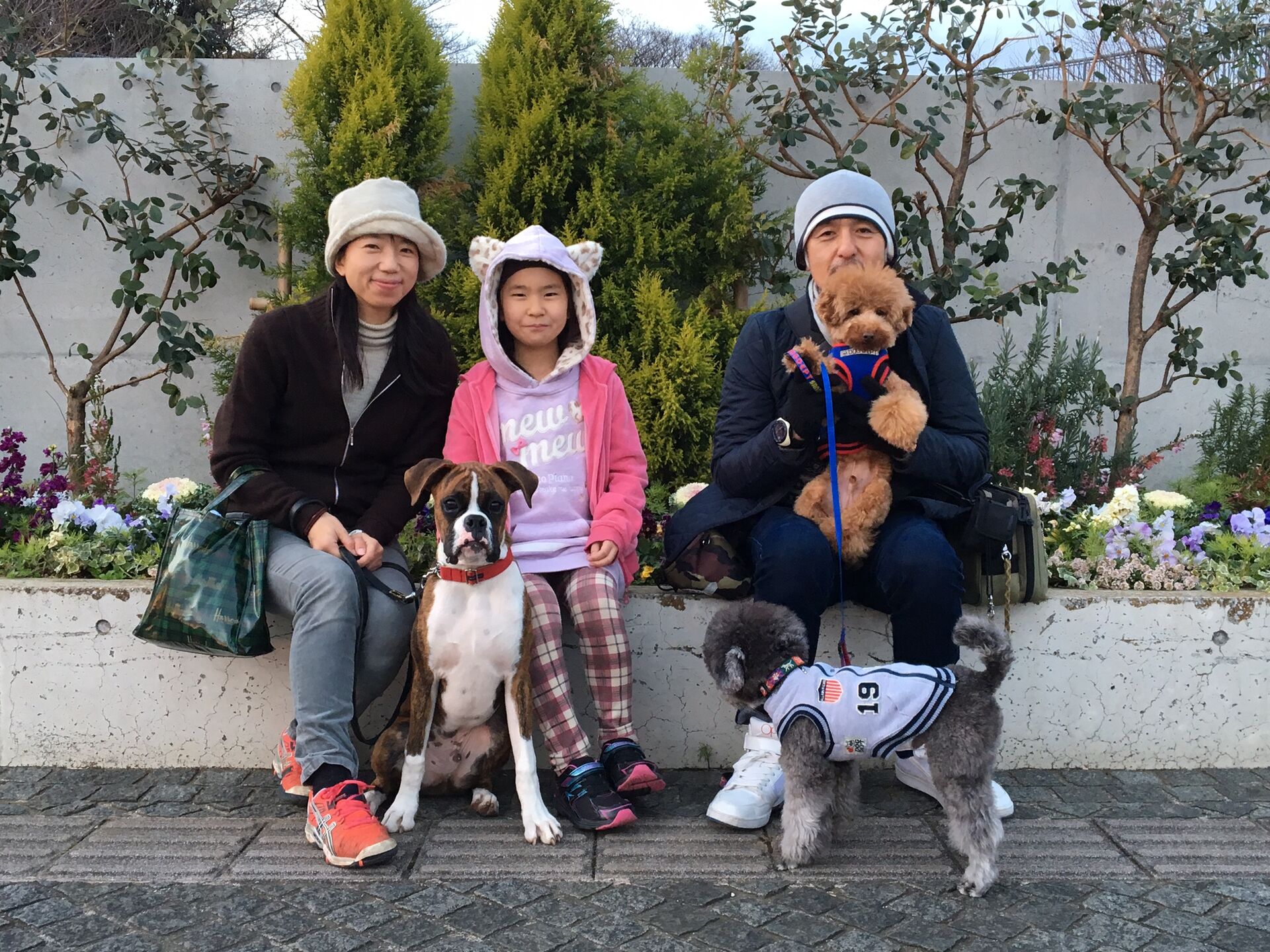 横浜市の犬のしつけレッスン/今日のわん子達