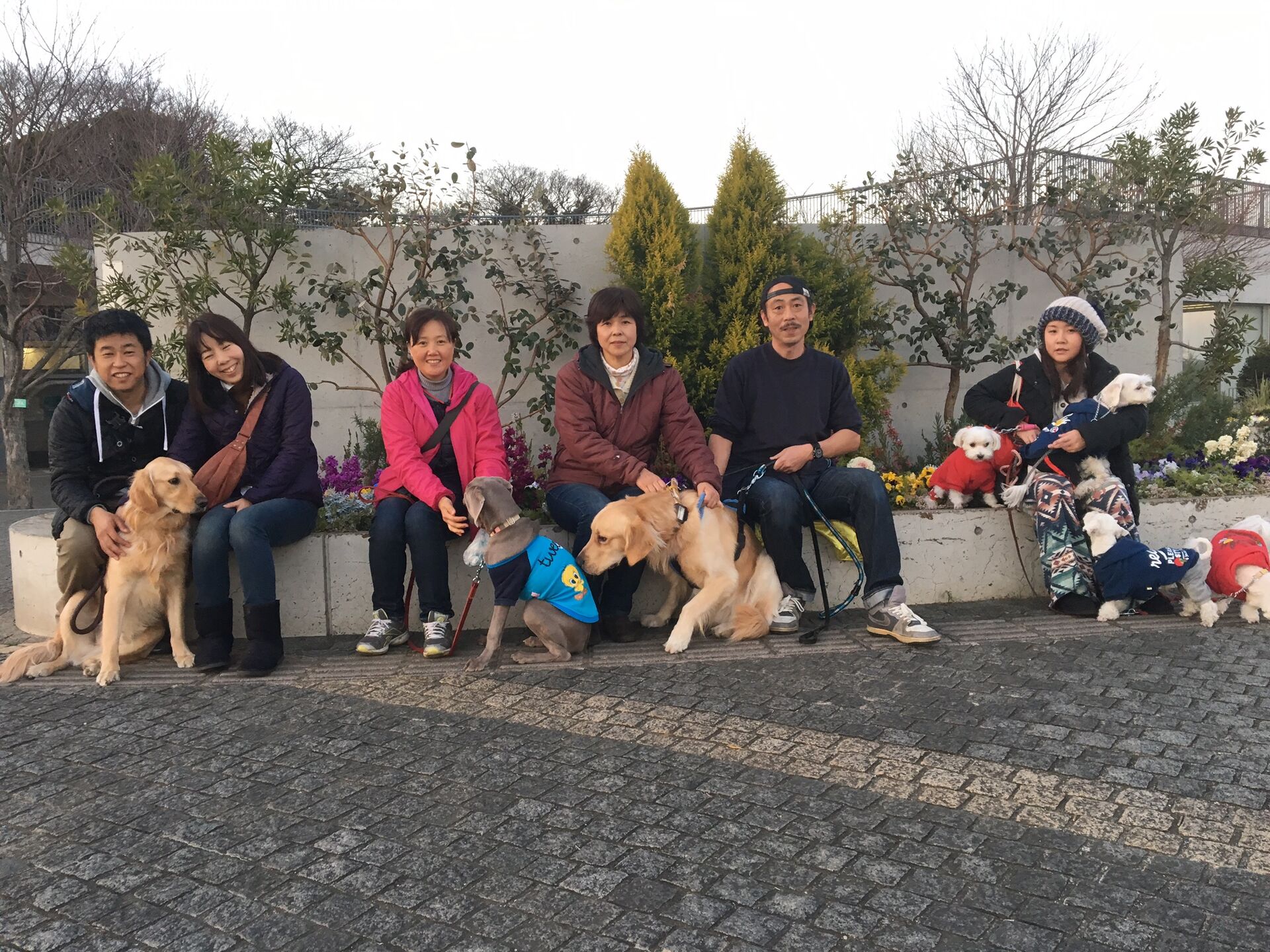 横浜市の犬のしつけレッスン/今日のわん子達