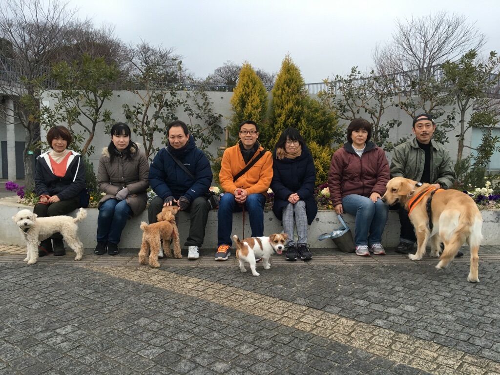 横浜市の犬のしつけレッスン/今日のわん子達