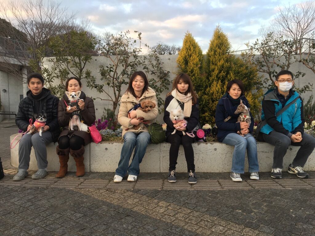横浜市の犬のしつけレッスン/今日のわん子達