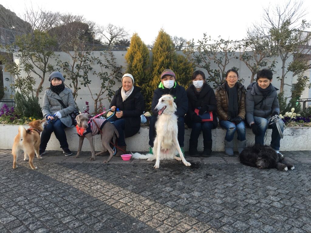 横浜市の犬のしつけレッスン/今日のわん子達