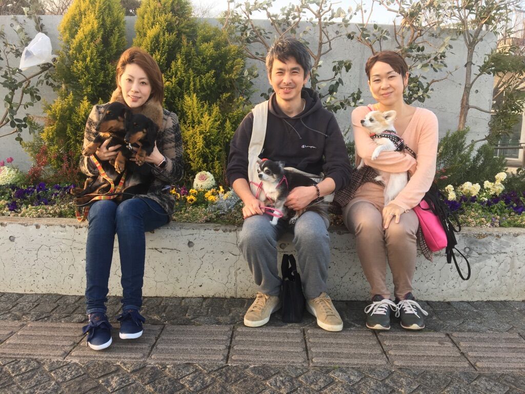 横浜市の犬のしつけレッスン/今日のわん子達