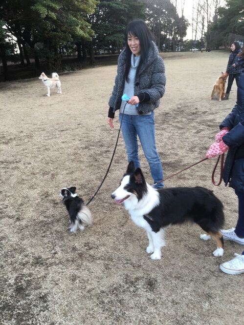 横浜市の犬のしつけレッスン/今日のわん子達
